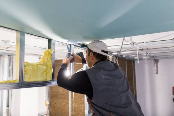 Types of Insulation We Offer in Pantops, VA