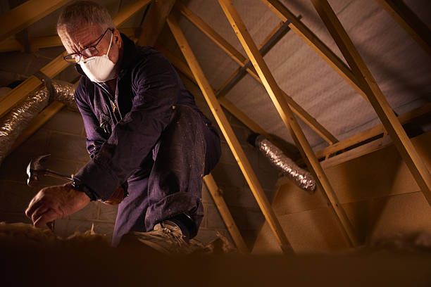 Best Cellulose Insulation in Pantops, VA